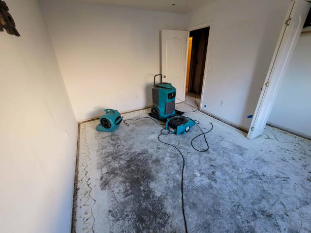 Best Professional water damage repair  in Central Garage, VA