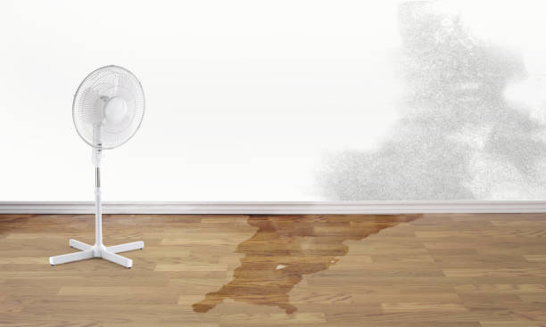 Best Residential water damage restoration  in Central Garage, VA