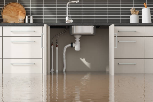 Best Local water damage restoration  in Central Garage, VA